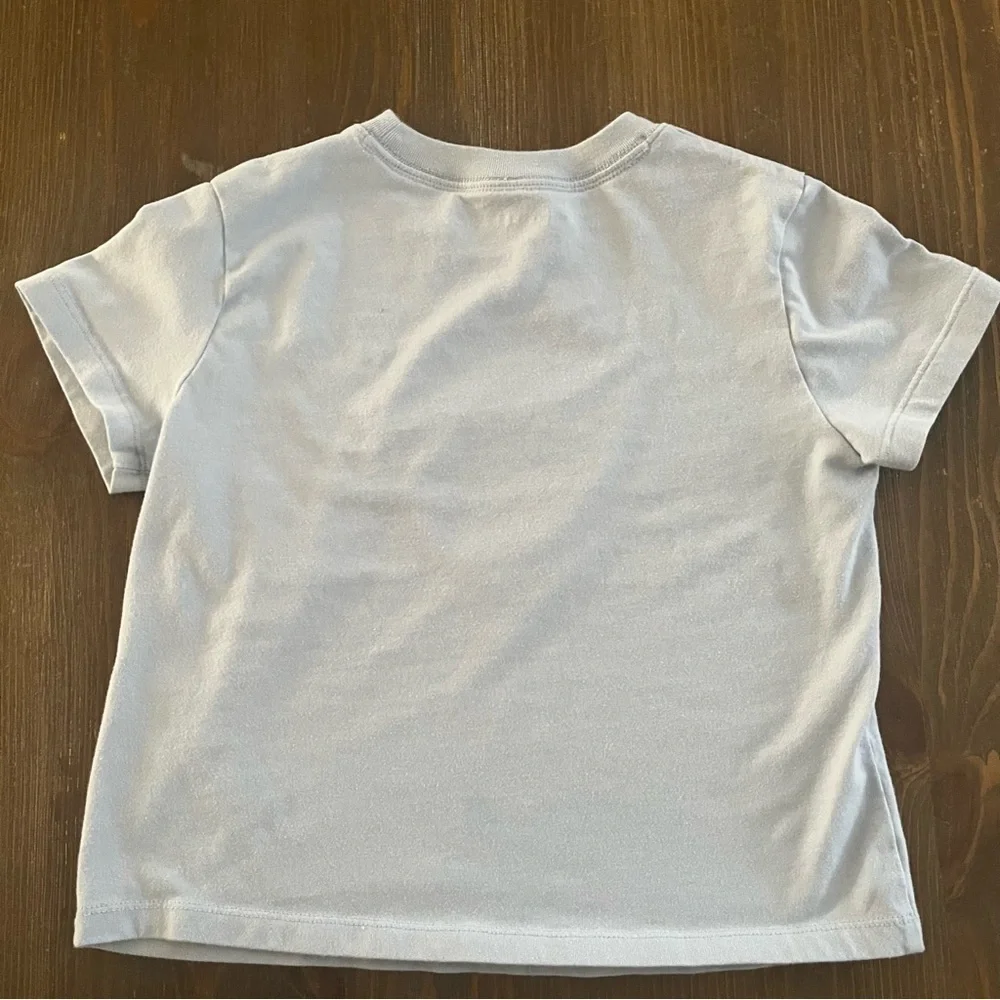 Abercrombie Kids Light Blue Tee with Monochrome Rose